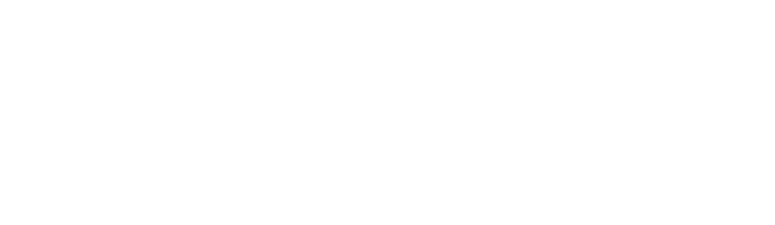 Digitalna komora
